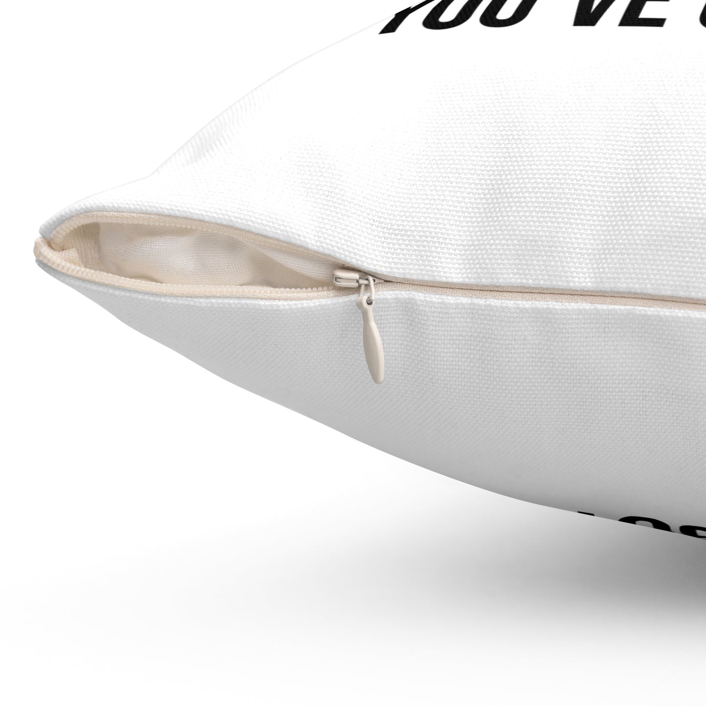 Coussin de motivation Shake That Ass, coussin d'affirmation quotidien, cadeau inspirant pour un ami, cadeau de pendaison de crémaillère, inspiré de Tony Robbins